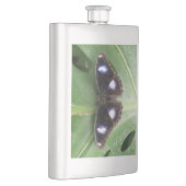 Belle fiole à papillon tacheté bleu (Droite)