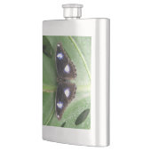 Belle fiole à papillon tacheté bleu (Gauche)