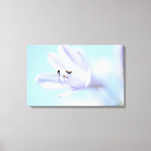 Belle Fleur Bleue Douce Impression sur Toile Tendu (Recto)