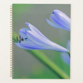 Belle Fleur Bleue Pâle Violette (Devant)
