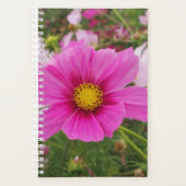 Belle Fleur Cosmos Rose (Devant)