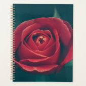 Belle Fleur de rose rouge florale (Devant)