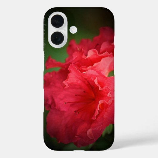 Belle Fleur Rouge * Coque-Mate coque iphone (Verso)