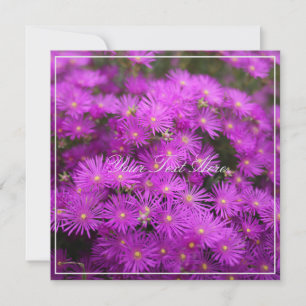 Belle Fleurs Roses Putples Votre Carte Plat Texte