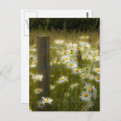 Belle Grande Baie Carte Postale (Devant / Derrière)