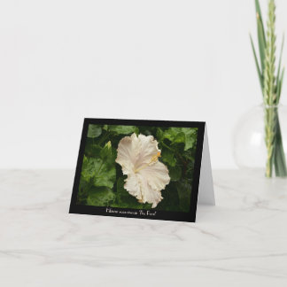 Belle Grande Carte de voeux Hibiscus pâle