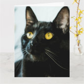 belle grande carte de voeux vierge de chat noir (Fleur jaune)