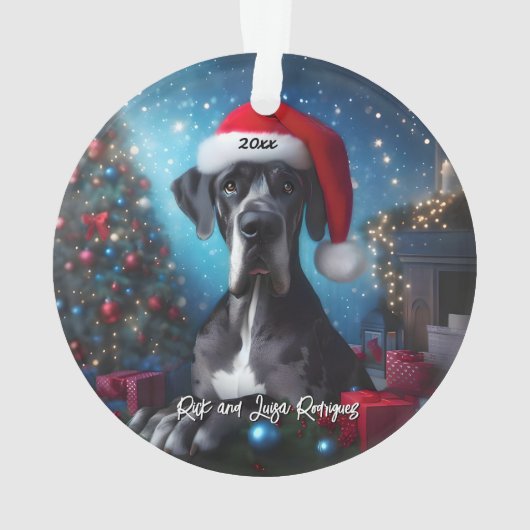 Belle Grande Danse avec Santa Hat (dos)