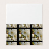 Belle Grille Springflower (Outside Unfolded)