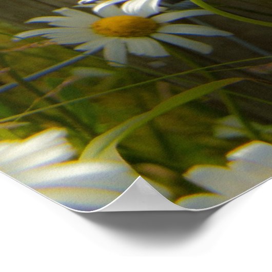 Belle Grosse Poster / Imprimer (Coin)