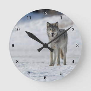 Belle horloge murale de paysage extérieur