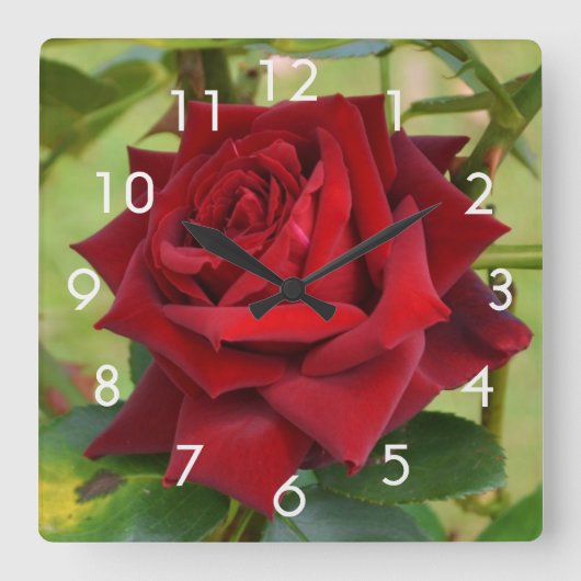 Belle horloge murale en forme de rose rouge (Recto)