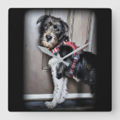 Belle horloge murale Labradoodle (Recto)