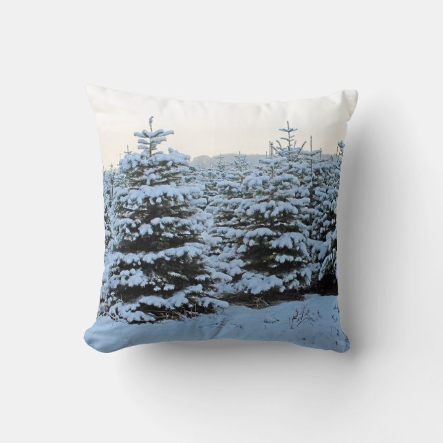 Belle housse de coussin d'hiver ! (Recto)