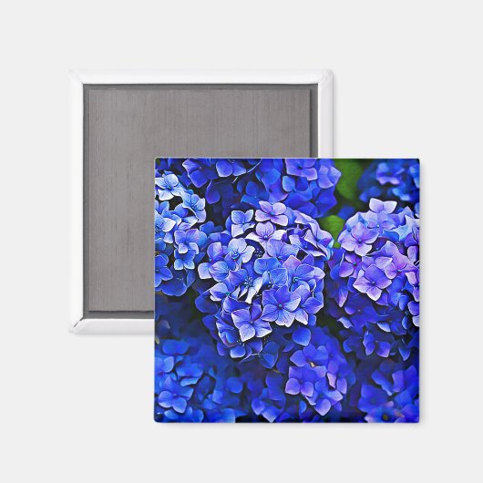 Belle Hydrangée Bleue Fleurs d'Art Floral Magnet (Recto/Verso)
