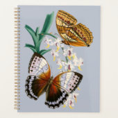 Belle illustration Vintage de papillon floral (Devant)