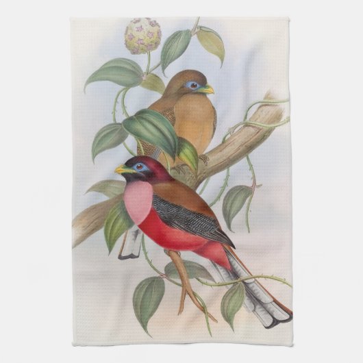 Belle illustration Vintage d'oiseaux Serviette de  (Vertical)