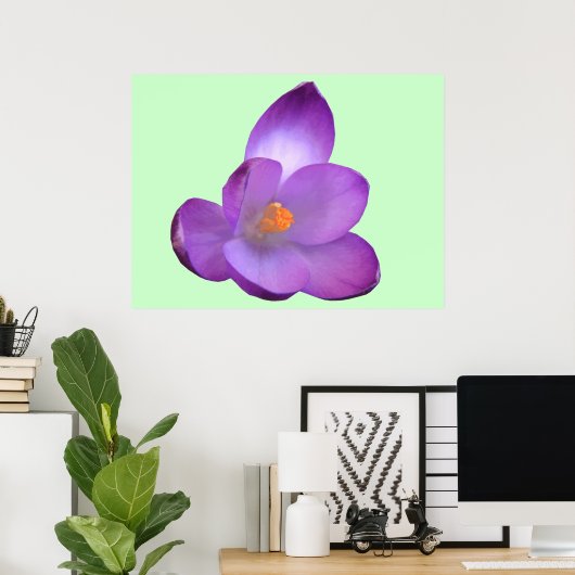 Belle impression Crocus (Bureau à domicile)
