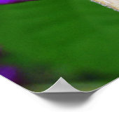 Belle impression de Belle Belle Bleue (Coin)