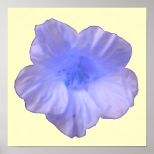 Belle impression de capucine bleue