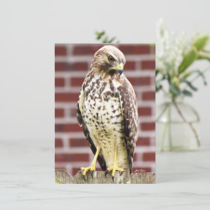 Belle impression de carte de billet Hawk