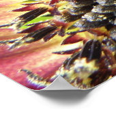 Belle impression de tournesol rose (Coin)