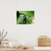 Belle impression papillon (Cuisine)