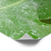 Belle impression papillon (Coin)