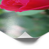 Belle impression photo Fleurs (Coin)