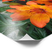 Belle impression photo Fleurs (Coin)