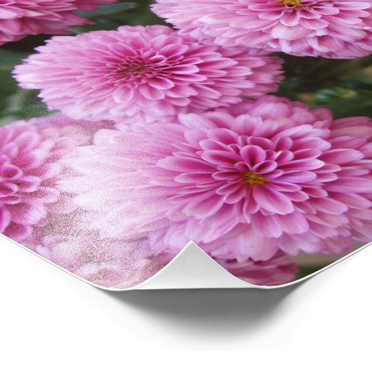 Belle impression photo Fleurs (Coin)