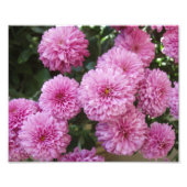 Belle impression photo Fleurs (Devant)