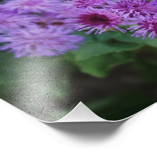 Belle impression photo Fleurs (Coin)