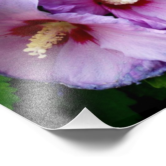 Belle impression photo Fleurs (Coin)