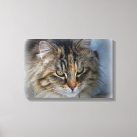 Belle impression sur toile de chat sauvage