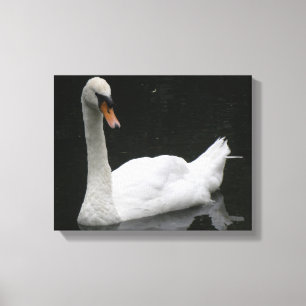 Belle Impression sur Toile de Cygne Blanc