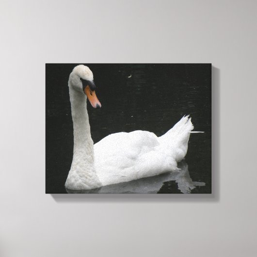 Belle Impression sur Toile de Cygne Blanc (Recto)