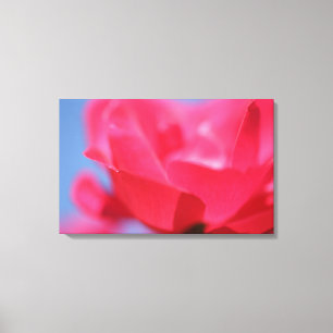 Belle Impression sur Toile de Fleur de Rose Rose
