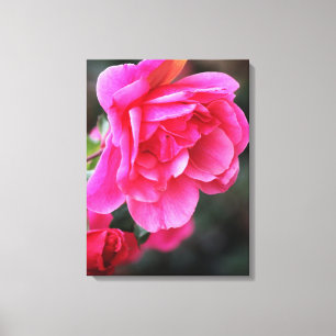 Belle impression sur toile de photo de rose rouge
