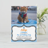 Belle Invitation pour les chats d'affaires (Debout devant)