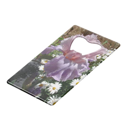 Belle Iris Fleur violet Fleur Photo (Devant Angle)