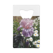 Belle Iris Fleur violet Fleur Photo (Dos)