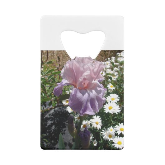 Belle Iris Fleur violet Fleur Photo (Dos)