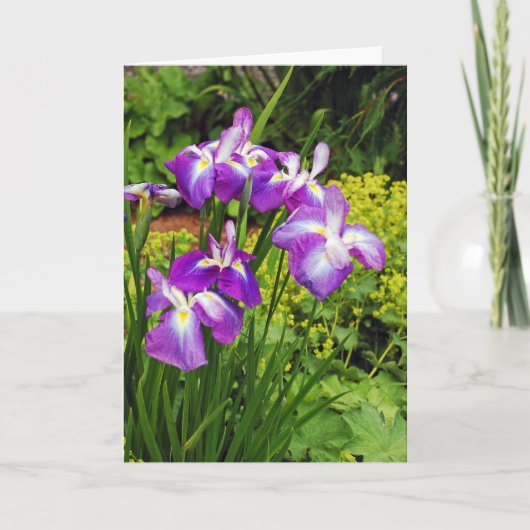 Belle iris violet fleurs imprimer carte de voeux (Devant)