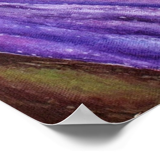 Belle Iris violet Impression (Coin)