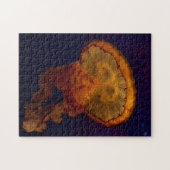 Belle Jellyfish Photo Puzzle (Horizontal)