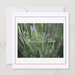Belle Lavande Fleurs Votre Carte Plat Texte