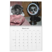 Belle le calendrier de Shih Tzu (Mar 2027)