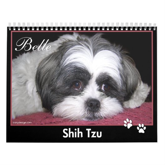 Belle le calendrier de Shih Tzu (Protection)