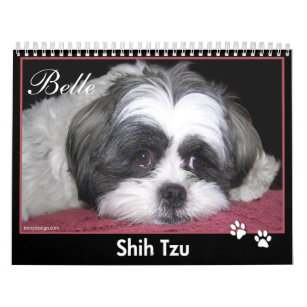 Belle le calendrier de Shih Tzu